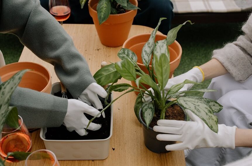 new gardening product benefits explained